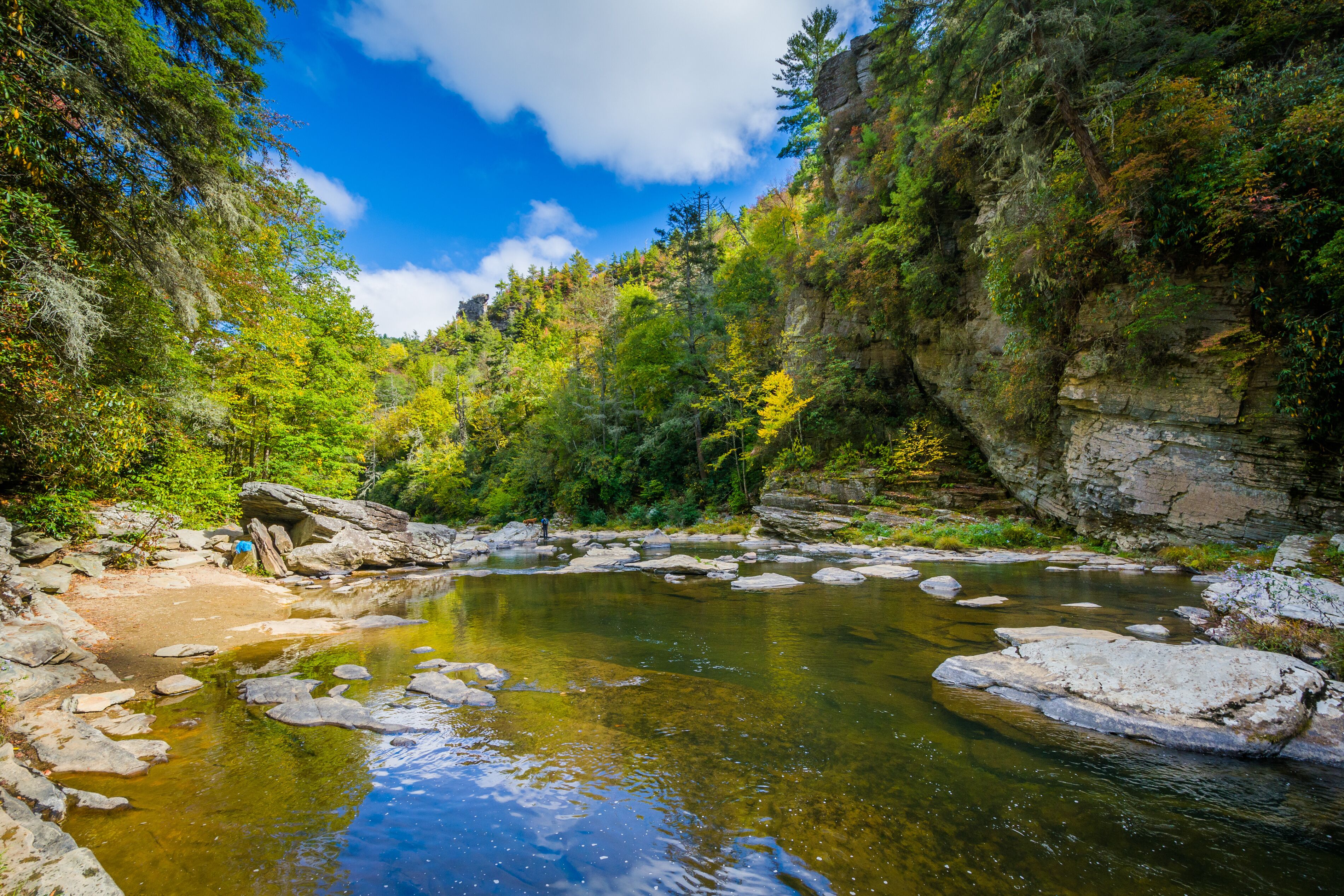 family-friendly-activities-and-attractions-in-allison-park-pa